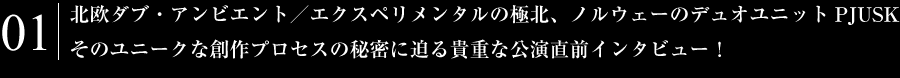 北欧ダブ・アンビエント／エクスペリメンタルの極北、ノルウェーの最重要アーティストPJUSK、貴重な初来日直前インタビュー！！